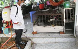 Bình Định đảm bảo nguồn cung Tết sau lũ