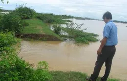 Thừa Thiên Huế khó khăn tiêu úng cho sản xuất Đông – Xuân 