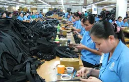TP.HCM: Tranh chấp lao động chủ yếu ở DN vừa và nhỏ