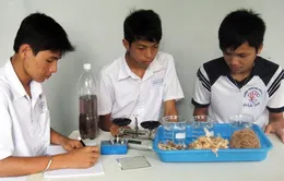 Việt Nam đăng cai Olympic Hóa học Quốc tế lần 46 