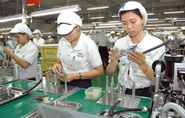 Năm 2013, vốn FDI vào TP.HCM đạt hơn 2 tỷ USD
