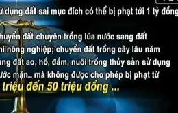 Sử dụng đất sai mục đích có thể bị phạt tới 1 tỷ đồng