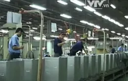Nhiều dự án FDI "mở hàng" đầu năm