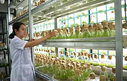 Vai trò của khoa học trong nông nghiệp