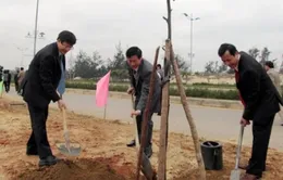 Quảng Bình ra quân trồng cây đầu năm Giáp Ngọ