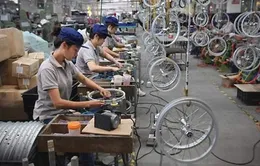 Tăng trưởng các nền kinh tế phát triển đang mạnh dần