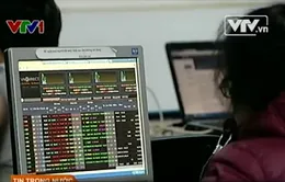 Nhà đầu tư cần tự bảo vệ mình trước cổ phiếu "ruồi" 