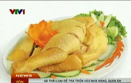 Gà thải Trung Quốc dễ trà trộn vào nhà hàng, quán ăn