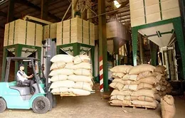 TP.HCM và Hà Nội dẫn đầu số DN tăng trưởng nhanh nhất VN