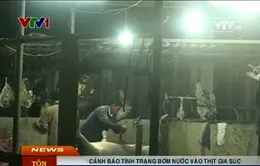 Tái diễn tình trạng bơm nước vào thịt gia súc