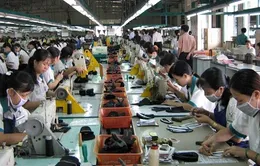 Năm 2014, sẽ giải quyết việc làm cho 1,6 triệu lao động