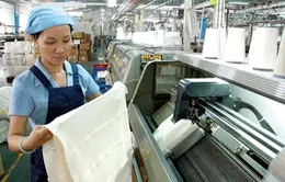 Ngành dệt may loay hoay tìm nguyên phụ liệu 