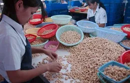 Nhập khẩu vật tư, nông sản tăng 19%