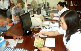 Đà Nẵng triển khai cấp đổi giấy phép lái xe mới