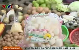 Nấm lạnh ngoại nhập chiếm lĩnh thị trường phía Nam