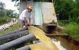 Quảng Nam ráo riết chống hạn cứu lúa Đông Xuân