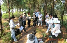 Hợp tác quốc tế trong đào tạo Đại học tại Thừa Thiên Huế