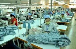 Dệt may chuyển mình đón cơ hội từ TPP