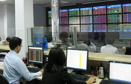 Nhà đầu tư cá nhân còn e dè với quỹ đầu tư mở