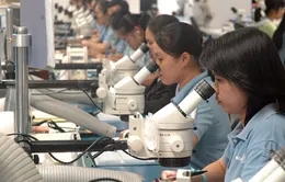 Thu hút trí thức kiều bào: Vì sao khó?
