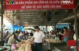 Khó kiểm soát giết mổ gia cầm trong khu dân cư 