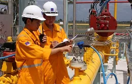Khắc phục sự cố đường ống dẫn khí cho nhà máy Điện, Đạm tại Cà Mau