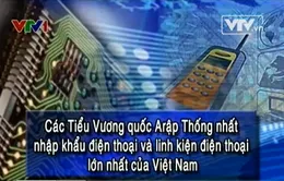 UAE - Thị trường nhập khẩu điện thoại và linh kiện lớn nhất của Việt Nam