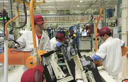 WB hạ dự báo tăng trưởng các nền kinh tế Đông Á 