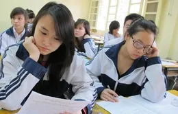 Học ngành kinh tế đối ngoại có thể làm việc gì?