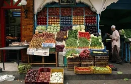 Chỉ số giá lương thực của FAO tăng cao nhất trong gần 1 năm