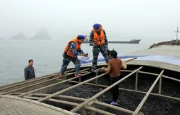 Cảnh sát biển bắt giữ 2 tàu vận chuyển 2.300 tấn than trái phép