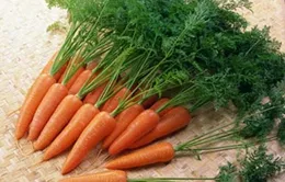 Lợi ích tuyệt vời của cà rốt