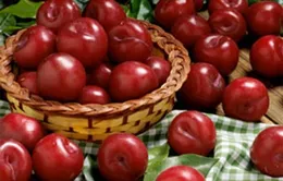 Những hoa quả cần hạn chế trong mùa hè 