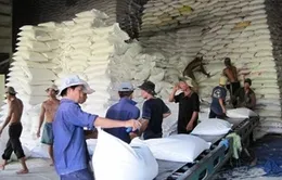 Xuất khẩu nông sản giảm 160 triệu USD trong 3 tháng