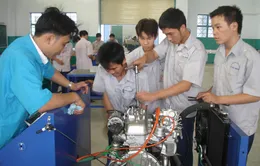 Điểm khác biệt giữa đào tạo nghề với đào tạo trong trường Đại học là gì?