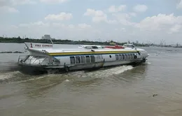 Bộ Giao thông kiến nghị dừng hoạt động tàu cánh ngầm tuyến TP.HCM - Vũng Tàu