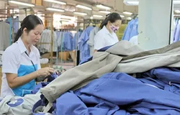 Chỉ số PMI tháng 4 lên mức kỷ lục 53,1 điểm