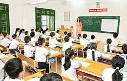 Giáo viên tiểu học, THCS, THPT sẽ được phân hạng