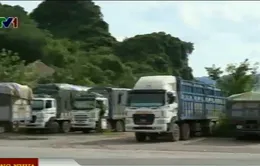 Hòa Bình: Hàng chục xe quá tải trực chờ trốn cân tải trọng