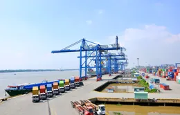Bộ GTVT làm việc với cảng Cát Lái giải quyết tình trạng hàng ùn ứ