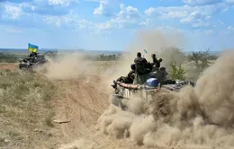 Ukraine ngừng chiến dịch quân sự xung quanh khu vực MH17 rơi