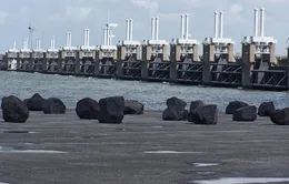Indonesia khởi công dự án thế kỷ xây đập chắn nước vào tháng 9