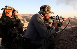 Mỹ trực tiếp cấp vũ khí cho người Kurd ở Iraq