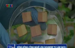 Hong Kong phát triển công nghệ len cashmere tự làm sạch