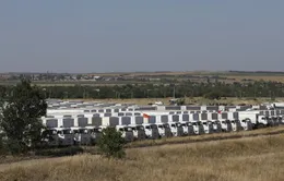 Hàng viện trợ nhân đạo Nga được kiểm tra tại biên giới Ukraine