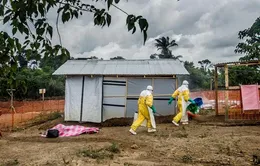 Sierra Leone kêu gọi sự trợ giúp quốc tế chống lại dịch Ebola