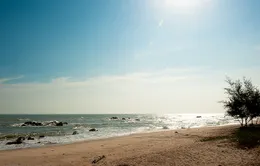 Hoang sơ vẻ đẹp biển Hồ Tràm