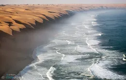 Khung cảnh đẹp như tranh nơi sa mạc Namib giáp biển