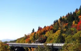 Cảnh sắc tuyệt đẹp trên cầu Linn Cove Viaduct 