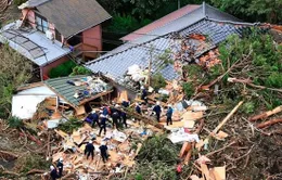 Chùm ảnh: Siêu bão Wipha tàn phá Tokyo